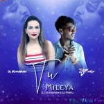 Tu Mileya Remix - DJ Somairah x DJ Pinku