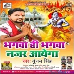 Bhagwa Hi Bhagwa Nazar Aaye Ga (Gunjan Singh)