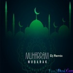 08-Sher Khan Akara (Naar-E-Haidari) Introduction Music DJ Rizwan Mixing