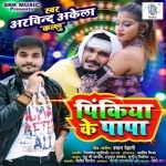 Pinkiya Ke Papa (Arvind Akela Kallu)