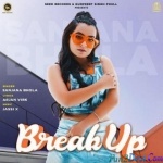 Breakup (Sanjana Bhola)