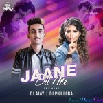 Jaane Dil Mein Kab Se Hai Tu (Remix) DJ AJAY x DJ PHILLORA