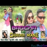 Bagaicha Kar Chhodi Mane Re - Vinay Kumar