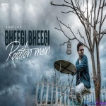 Bheegi Bheegi Raaton Mein (Unplugged Cover) - Rahul Jain