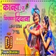 Wo Kanha Tu Hai Kiska Deewana Janmasthmi Remix