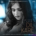 Dil Kare - Tanishq Kaur