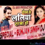 Hothwa Ke Laliya Raja Ho Official Remix - Gunjan Singh - Dj Akhil