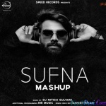 The Sufna - Punjabi Mashup 2020 - DJ Nitish Gulyani