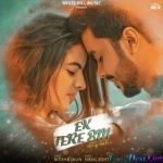Ek Tere Bin - Nitish Shukla