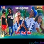 Teri Yad Me Ham Pite Sanam Din Raat - Dj Amit Chakulia