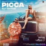 Picca - Elly Mangat