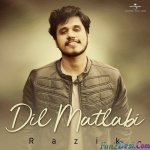 Dil Matlabi - Razik Mujawar