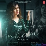 Naam (Reprise) - Tulsi Kumar Ft. Millind Gaba