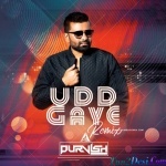 RITVIZ - Udd Gaye (Remix) - DJ Purvish