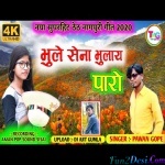 Bhule Se Na Bhulai Paro - Theth - (Pawan Gope)