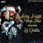 Arey Pagol Hoye Jabo - Trap Mix - DJ Chaitu