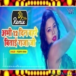 Abhi 12 Din Bahare Bitai Raja ji Remix - Pushpa Rana - Dj Ravi
