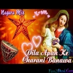 Dila Apan Ke Charani Banawa -Christmas Song