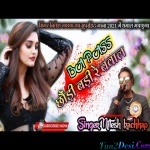 BA Pass Chhoni Re Badi Bawal - Nitesh Kachhap