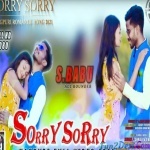 SORRY SORRY - S BABU