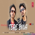 Tere Bina - Faizy Bunty