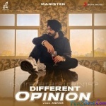Different Opinion - Manisten