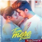 Tum Mere Pass - Mohammed Irfan