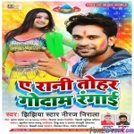 Ae Rani Tohar Godam Rangai (Niraj Nirala)