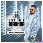 Nadan Parindey (Remix) Dj Chetas