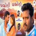 Na Deva Dila Re Kare Futani - Nitesh Kachhap