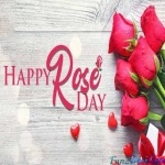 Rose Day Special (Kumar Pritam)