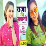 Raja Rowe Jawani Official Remix (Antra Singh Priyanka) Dj Ravi