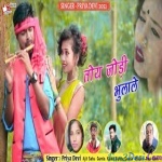 Toy Jodi Bhulale (Priya Devi) Theth