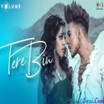 Tere Bin (Rahul Jain)