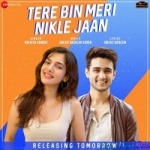 Tere Bin Meri Nikle Jaan