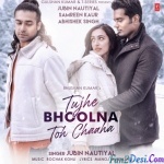 Tujhe Bhoolna Toh Chaaha (Jubin Nautiyal)
