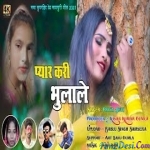 Pyar Kari Bhulale (Theth) - Priya Devi