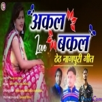Akal Bakal Kare Jiwa (Narayan Nayak) Theth