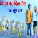 Tune Mera Dil Toda Jaan Bujh Kar