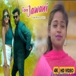 Tore Jawani Dekhi Remix Nagpuri 2021