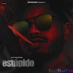 Estupido - Nav Dolorain