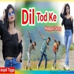 Ho Dil Tod Ke - Dilu Dilwala