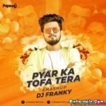 Pyar Ka Tohfa Tera (Smashup) - DJ Franky