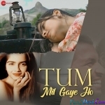 Tum Mil Gaye Ho (Ananya Sankhe)