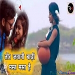 Tor Jawani Badi Mast Mast Hai - Dilu Dilwala