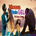 Diwana Bain Gelo - Anil Kumar